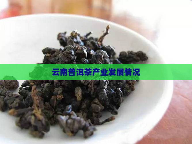 云南普洱茶产业情况