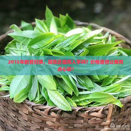 昔归茶2015价格