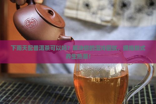 下雨天配普洱茶可以吗