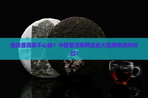 中国普洱茶网各大品牌