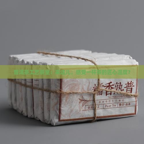 普洱茶工艺茶室