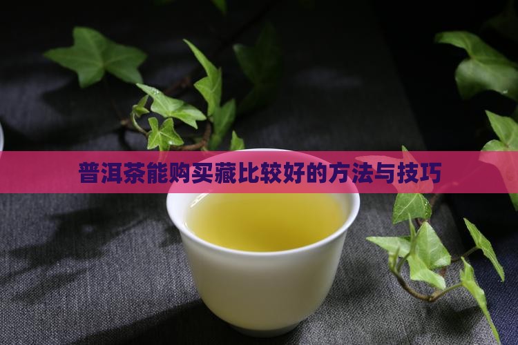 普洱茶能购买藏比较好
