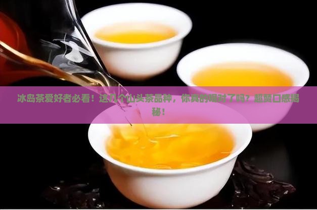 冰岛茶区有哪些山头茶品种