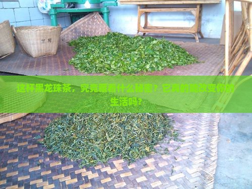 黑龙珠茶的功效与作用