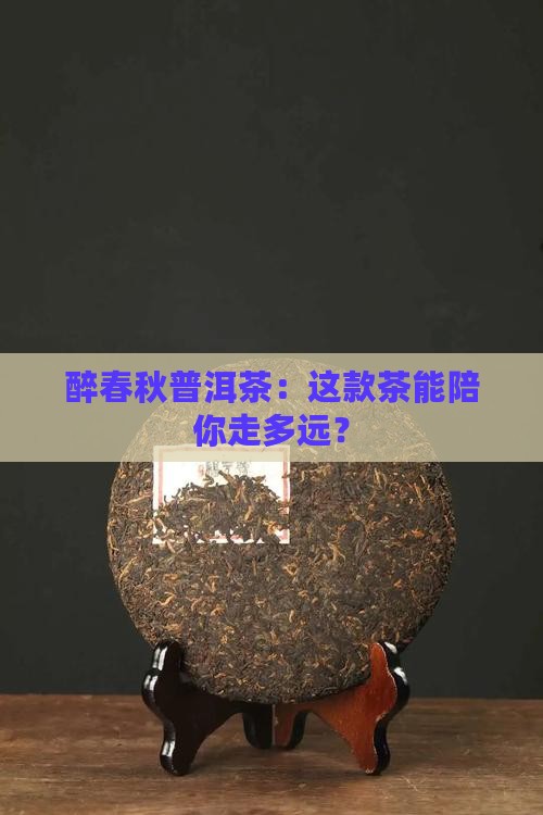 醉春秋普洱茶能保存多久 醉春秋普洱茶能保存多久