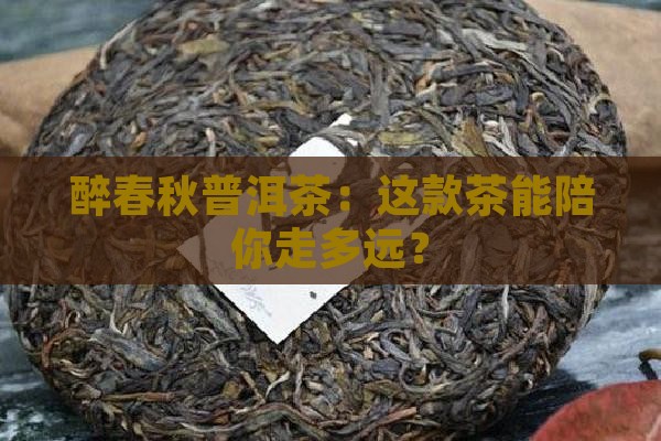 醉春秋普洱茶能保存多久 醉春秋普洱茶能保存多久