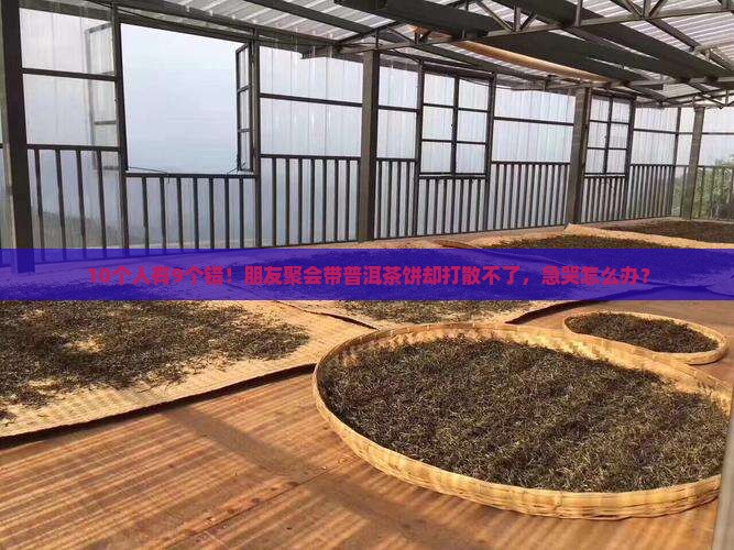 普洱茶饼怎么打散冲泡