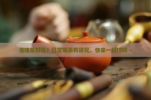 泡什么茶好平时