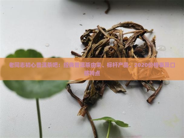 老同志初心普洱茶吧
