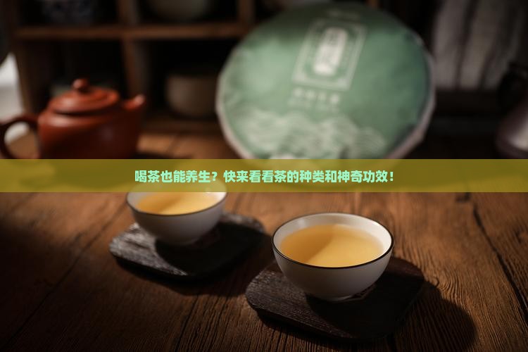 茶都有哪些种类和功效