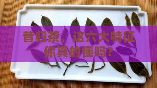 昔归茶六大特征
