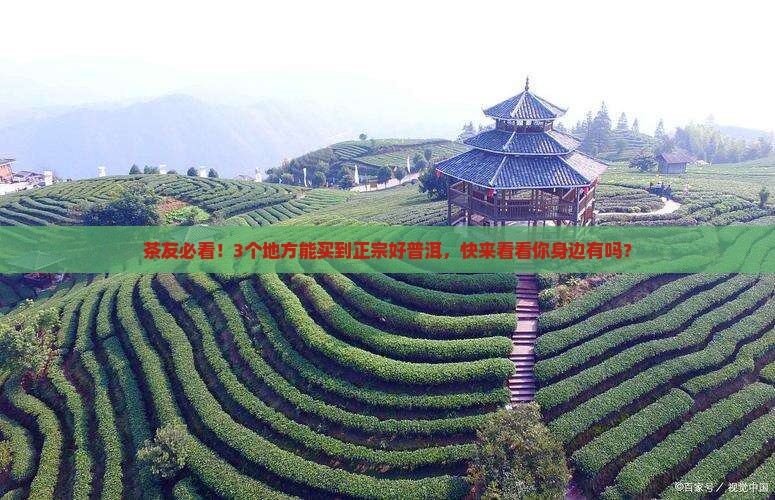 好的普洱茶哪里有卖