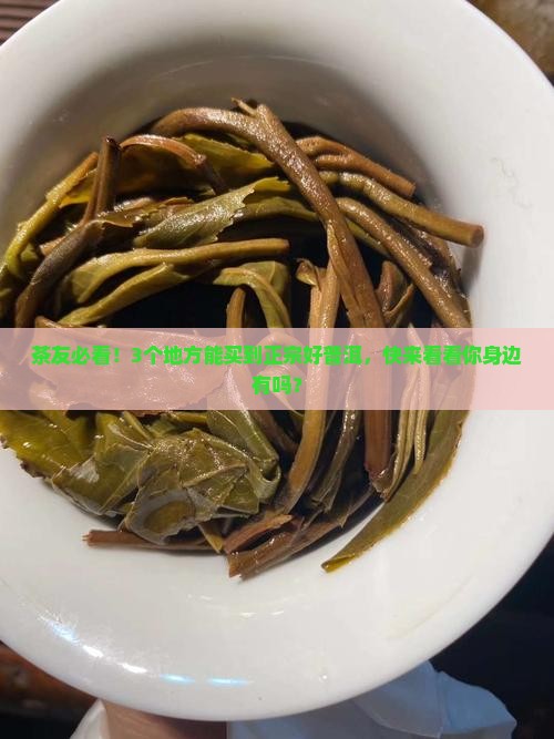 好的普洱茶哪里有卖