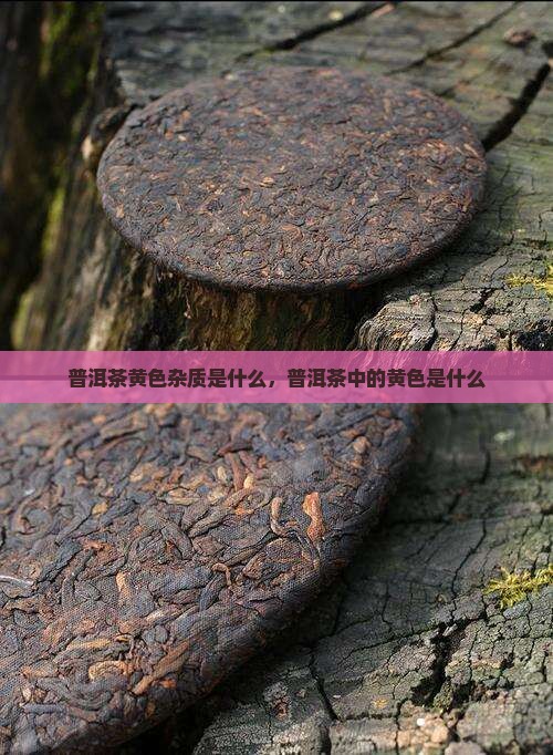 普洱茶去黄色杂质是什么 普洱茶去黄色杂质是什么