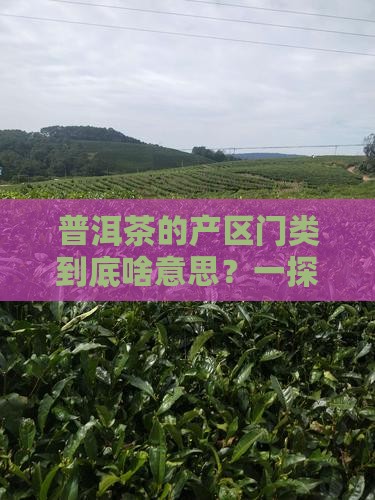 普洱茶产区门类是什么意思