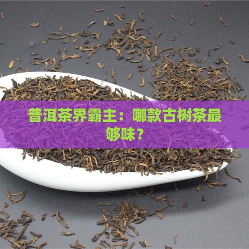 普洱茶茶味最重的古树茶