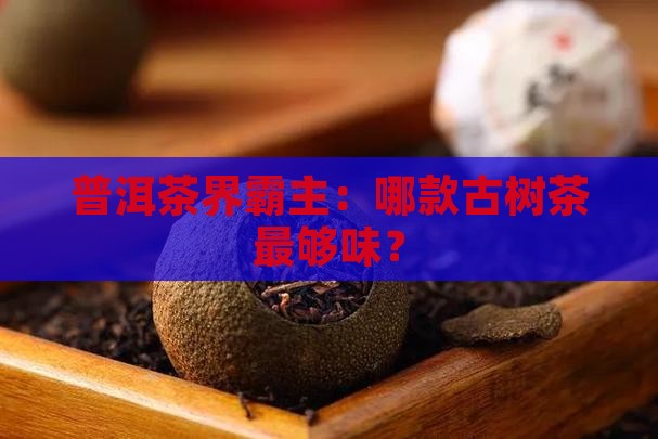 普洱茶茶味最重的古树茶