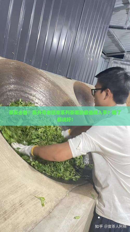 陈升号老班章系列茶