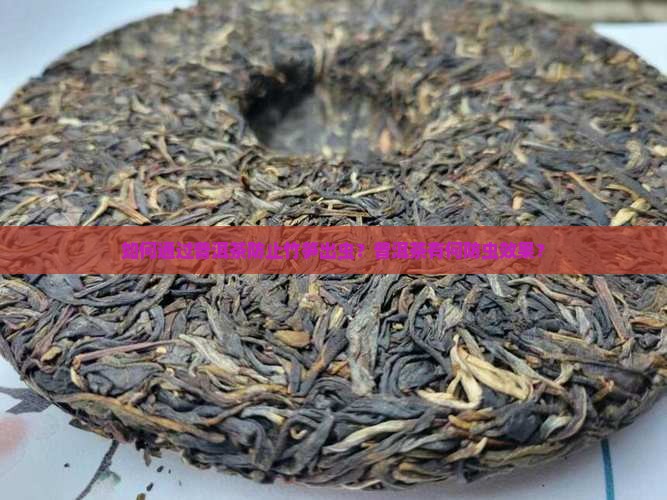 普洱茶如何防止竹笋出虫