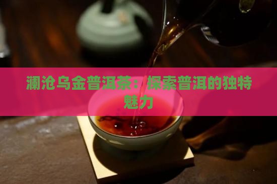 澜沧乌金普洱茶是什么茶