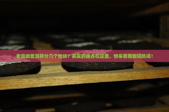 老曼峨普洱茶分几个地块
