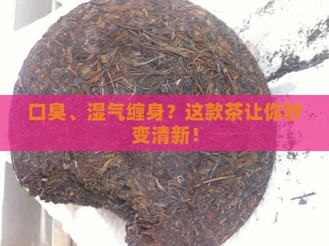 湿气口臭喝什么茶