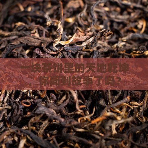 天人合一精制普洱茶饼