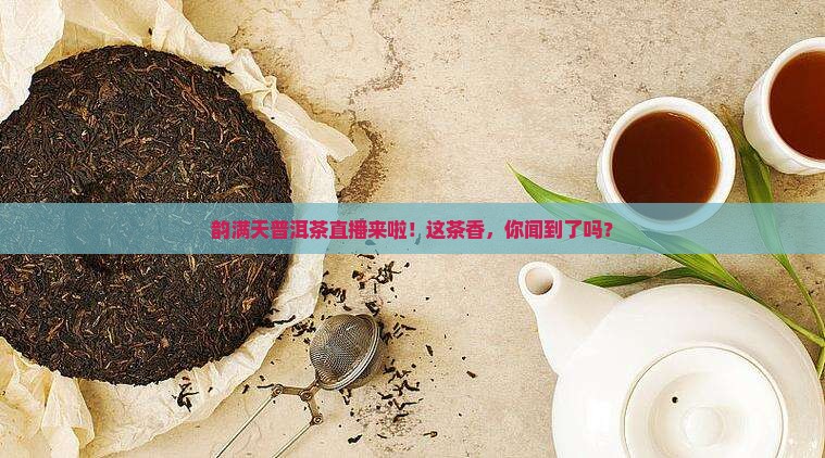 韵满天普洱茶直播