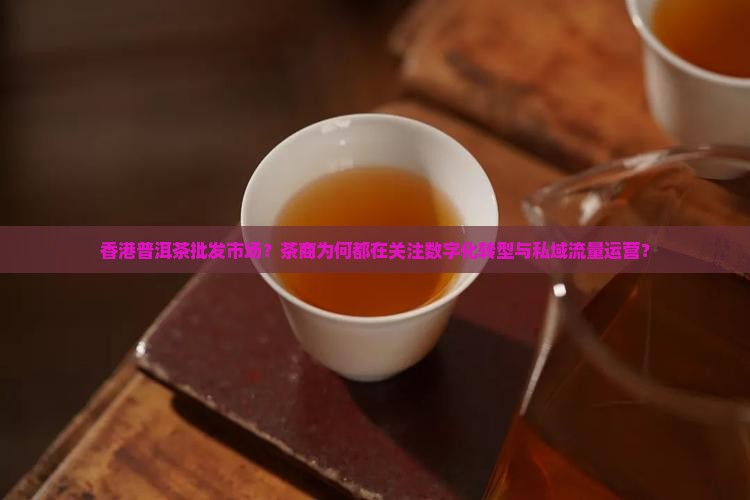 香港普洱茶批发市场