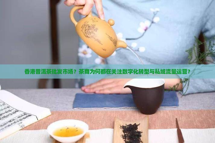 香港普洱茶批发市场