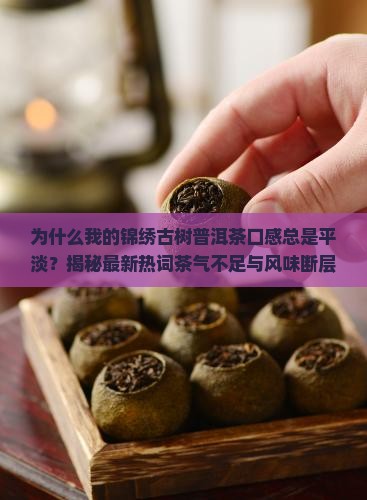 锦绣古树普洱茶口感