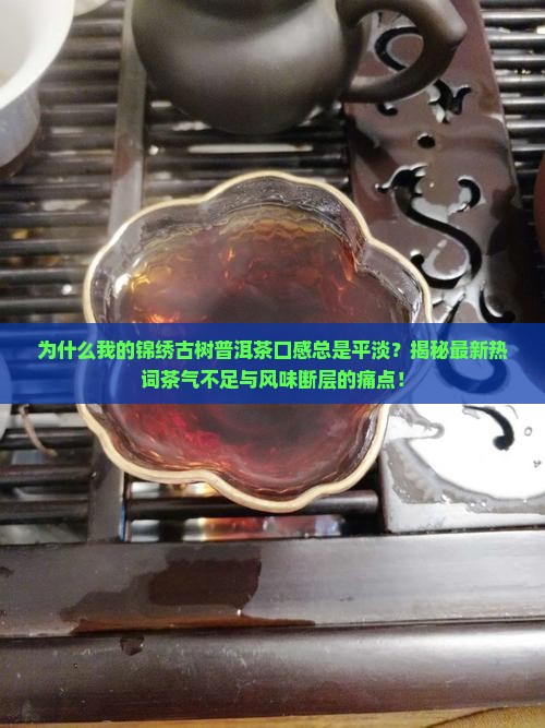 锦绣古树普洱茶口感