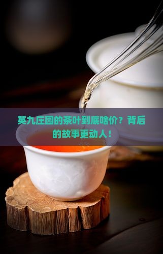 英九庄园茶叶多少钱 英九庄园茶叶多少钱