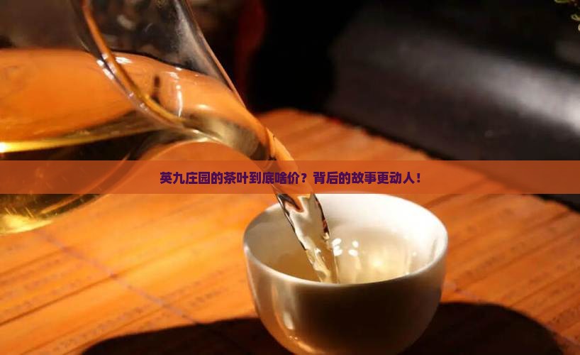 英九庄园茶叶多少钱 英九庄园茶叶多少钱
