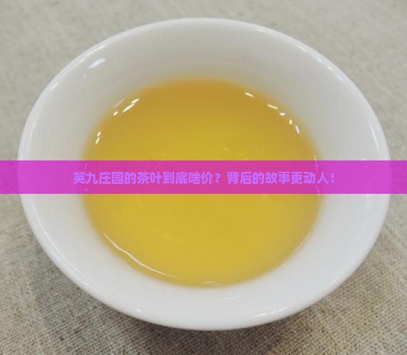 英九庄园茶叶多少钱 英九庄园茶叶多少钱