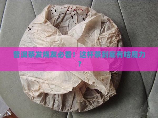 普洱茶专业角度 普洱茶专业角度