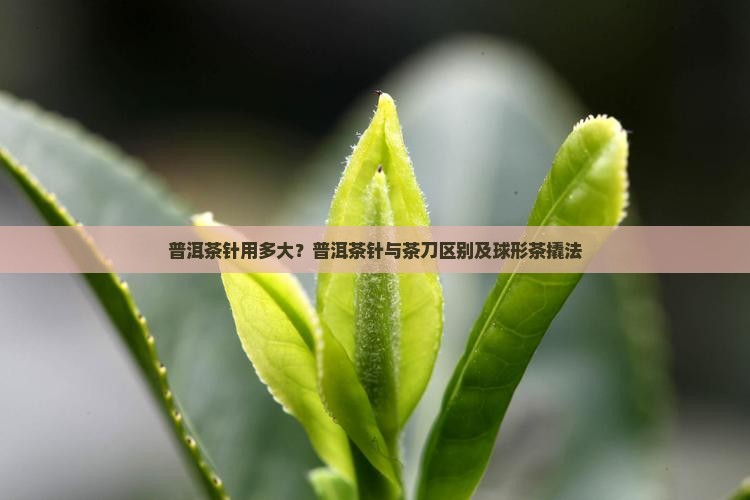 普洱茶针用多大