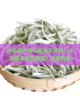 冰岛茶产地与版纳交界吗