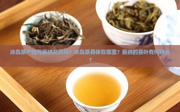 冰岛茶产地与版纳交界吗