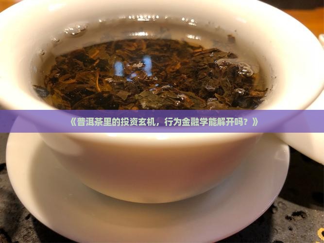 行为金融学普洱茶