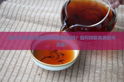 金芽头普洱茶是真的吗