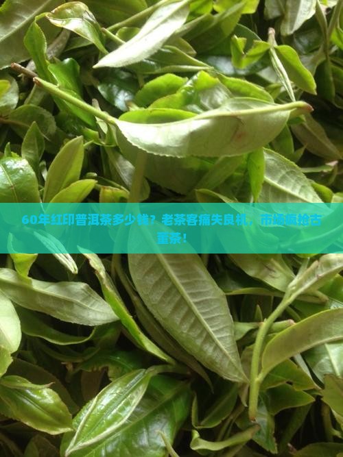 60年红印普洱茶多少钱