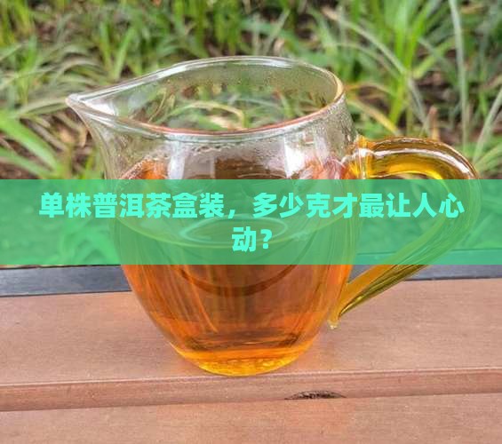 普洱茶单株盒装多少克为宜