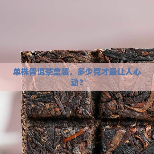 普洱茶单株盒装多少克为宜