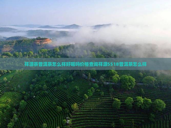 祥源茶普洱茶怎么样