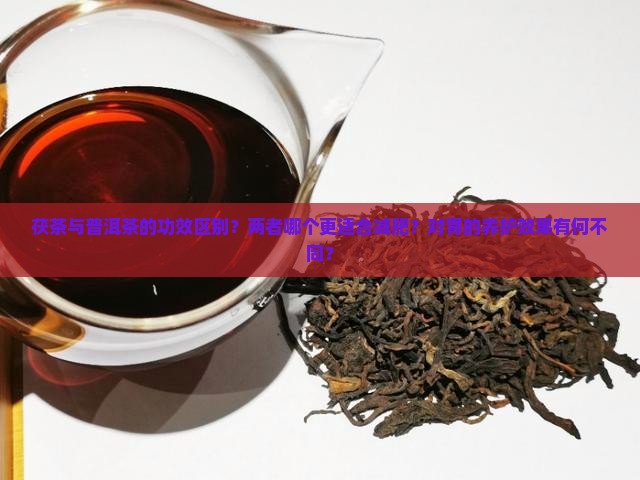 茯茶与普洱茶的功效区别