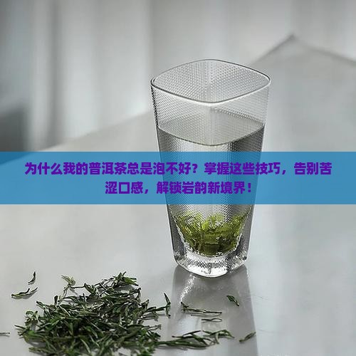 搜普洱茶泡法教学