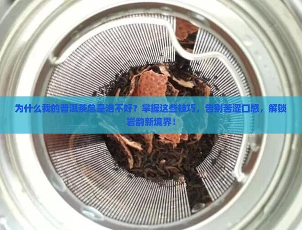 搜普洱茶泡法教学