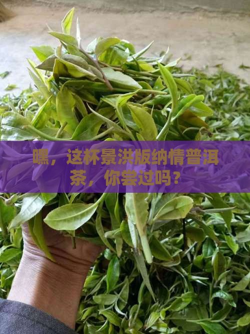 景洪版纳情普洱茶