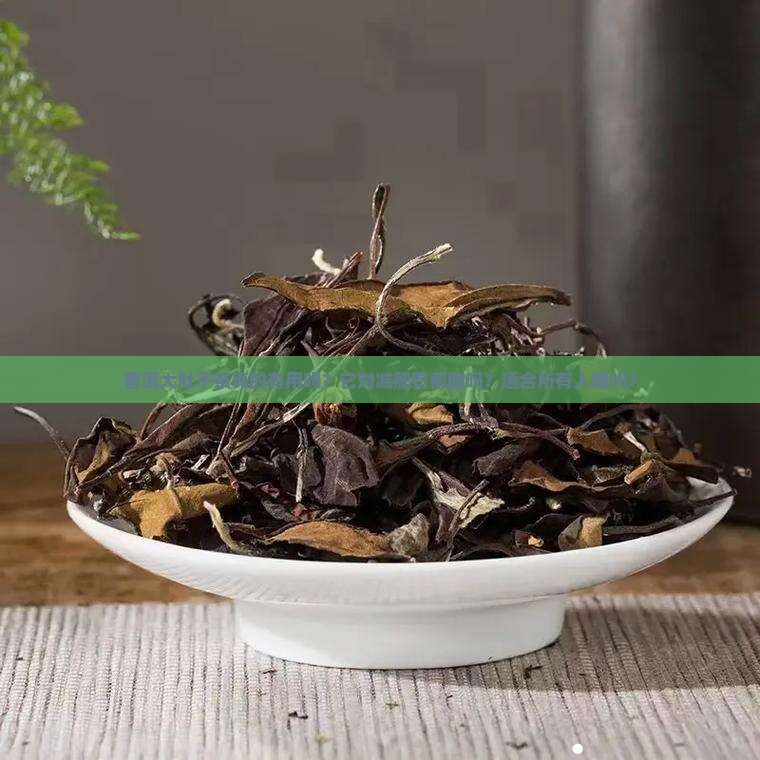 普洱大肚子茶有用吗